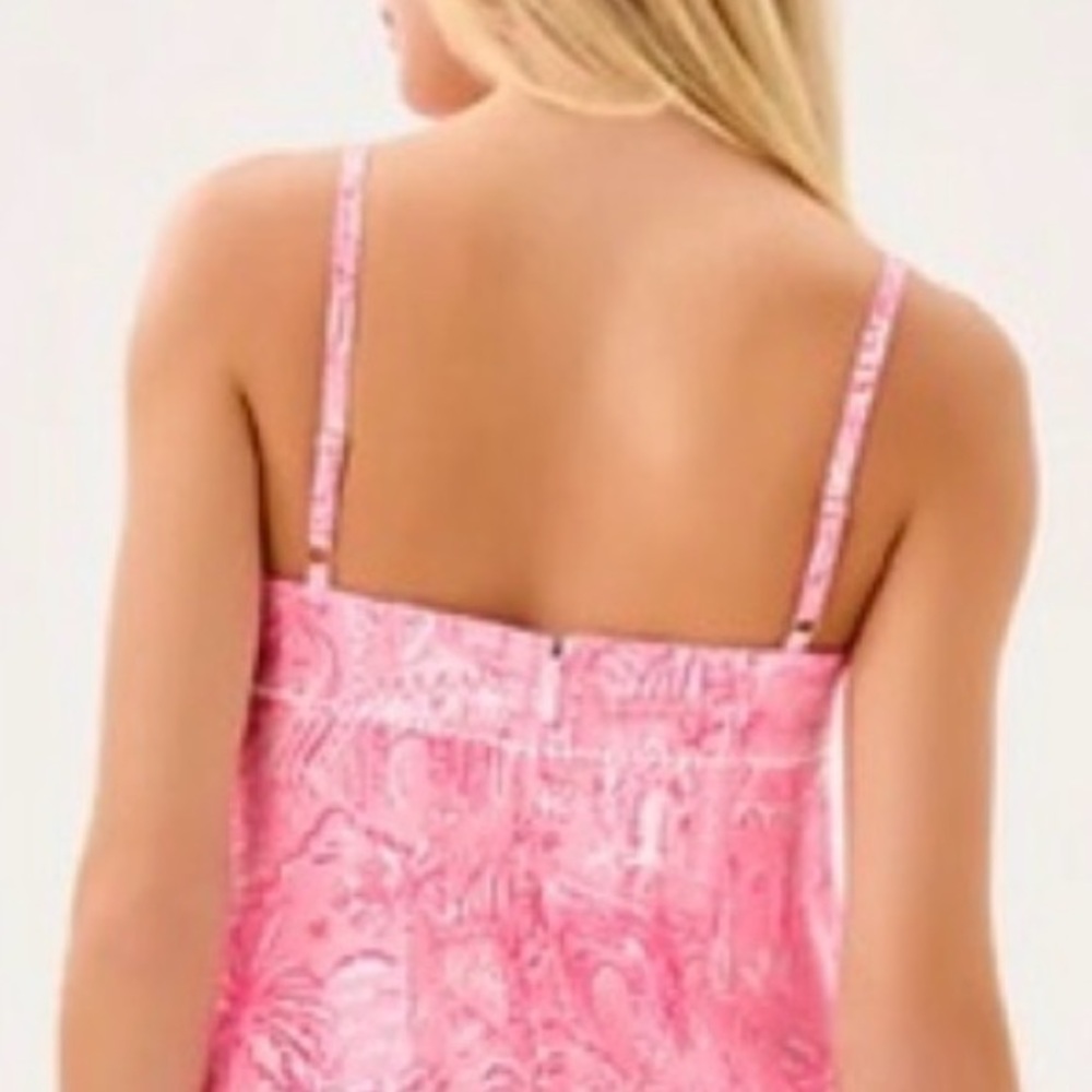 Like New Lilly Pulitzer Rozalie Linen Pink and white maxi dress- size 16 🩷 - Picture 12 of 16